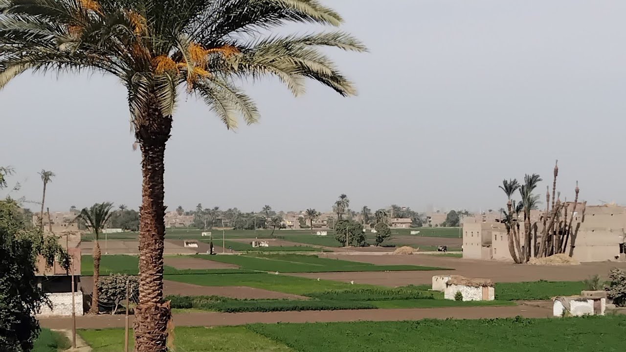 #حياة_القرية 