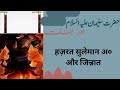 Hazrat suleman ka waqia  hazrat suleman aur jinnat ka waqia  prophet stories in urdu