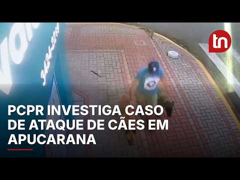 Vídeo mostra tutor e cães de caso de ataque em Apucarana