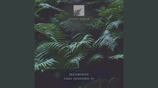 Field Recordings #11