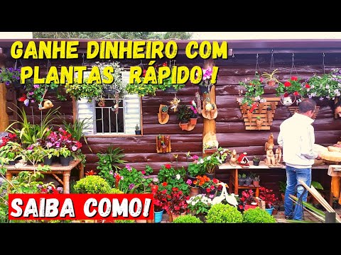 Vídeo: Como Ganhar Dinheiro Com Flores Em 8 De Março