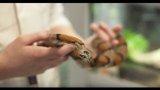 Animal Management at Riseholme College