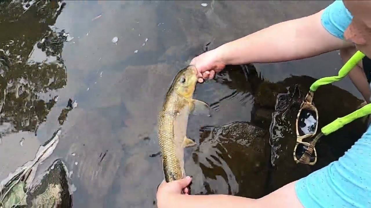 A BAD DAY OF FISHING….