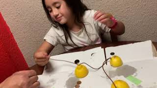 Experimentos de electricidad  con limones (batería de limones )🍋🍋