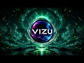 VIZU - Wait For The Signal (Visual)