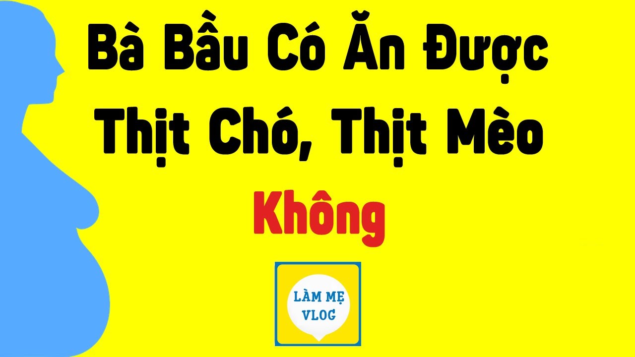 Bà bầu có ăn được thịt chó, thịt mèo không? | Bà bầu có nên | Làm Mẹ Vlog