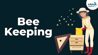 Bee Keeping | Animal Husbandry | Don't Memorise