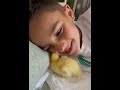 Rățușca - noul membru al familiei🦆❤️