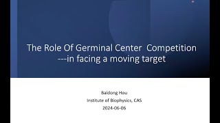 Germinal center competition