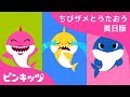 しあわせな ちびザメ| サメのかぞく | ちびザメとうたおう英日版 | どうぶつのうた | ピンキッツ童謡