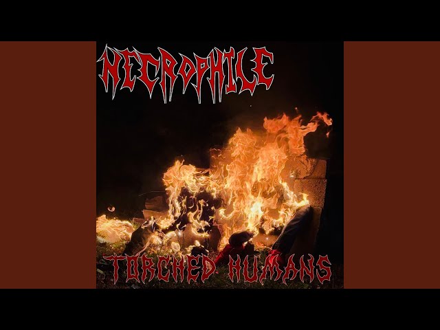 Regurgitated Blood