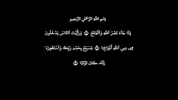 سورة النصر  بصوت عامر الكاطمي