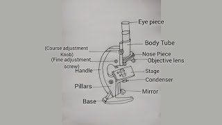 How to Draw Compound Microscope | Easy Biology Diagram for Students