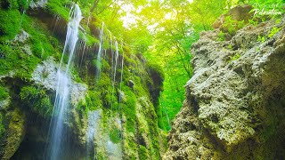 [NO ADS] Relaxing Zen Music with Water Sounds - Peaceful Ambience for Spa, Yoga and Relaxation