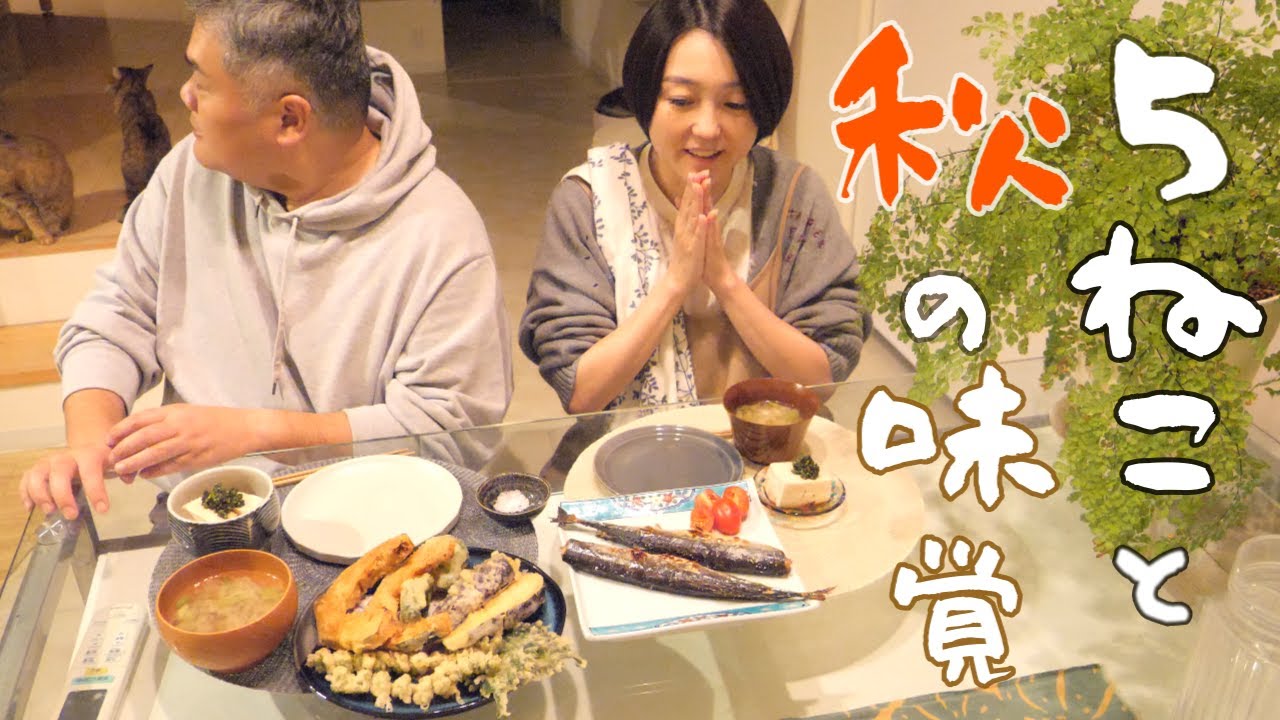 【北海道の暮らし】最高気温１５℃║庭のカボチャを食す║猫の病気