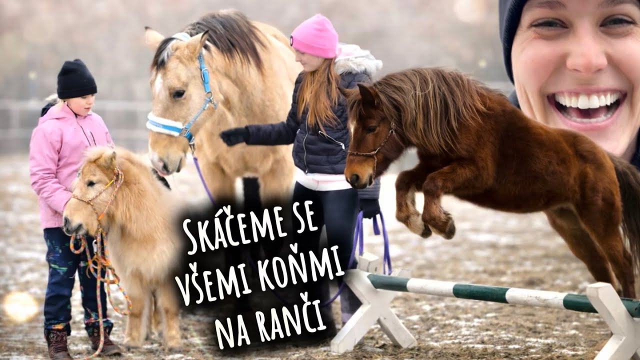 Poník skočil víc než kůň😮 pony VS velký kůň
