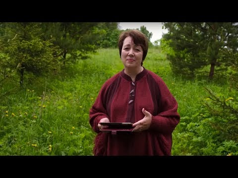 636. Хлеб на каждый день. Молитва на высотах.