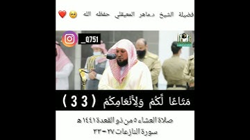ماهر المعيقلي سورة النازعات