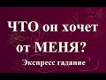 ЧТО  ОН  ХОЧЕТ  ОТ  МЕНЯ? Ответы на вопросы. Экспресс-гадание Таро