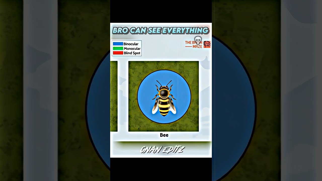 Bro got Pro Vision ☠️