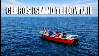 Best of Cedros Island: Giant Yellowtail & Calico Bass
