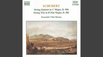 String Quintet in C Major, Op. 163, D. 956: I. Allegro ma non troppo