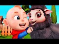Baa Baa Black Sheep | Little Sheep and Friends Song | Rosoo - Kids Cartoon &amp; Nursery Rhymes