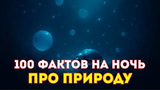видео: ИСТОРИИ ДЛЯ СНА | 100 ФАКТОВ ПРО ПРИРОДУ картинка: ИСТОРИИ ДЛЯ СНА | 100 ФАКТОВ ПРО ПРИРОДУ