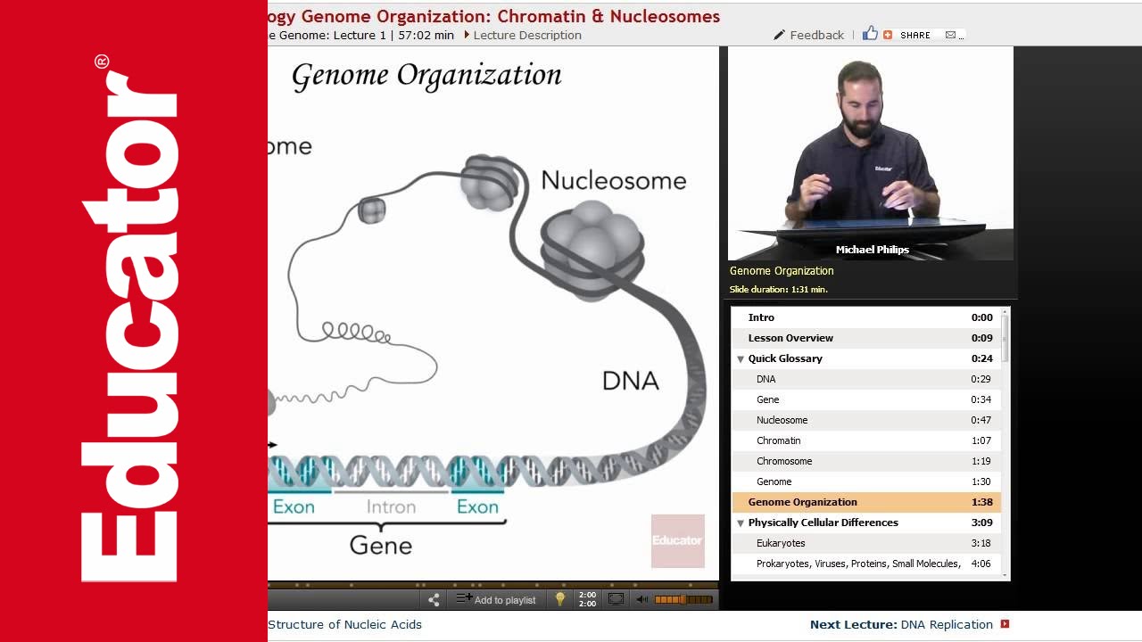 Genome Organization | Molecular Biology