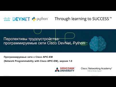 Перспективы трудоустройства: программируемые сети Cisco DevNet, Python