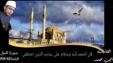 تلاوه ميسره من سوره النمل بصوت ايمن محمد