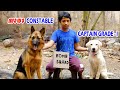How The To Train Dogs To Detect Bombs : പുള്ളാരെ BOMB SQUAD ല്‍ എടുത്തു 😅😅 : EXPLOSIVES DETECTION