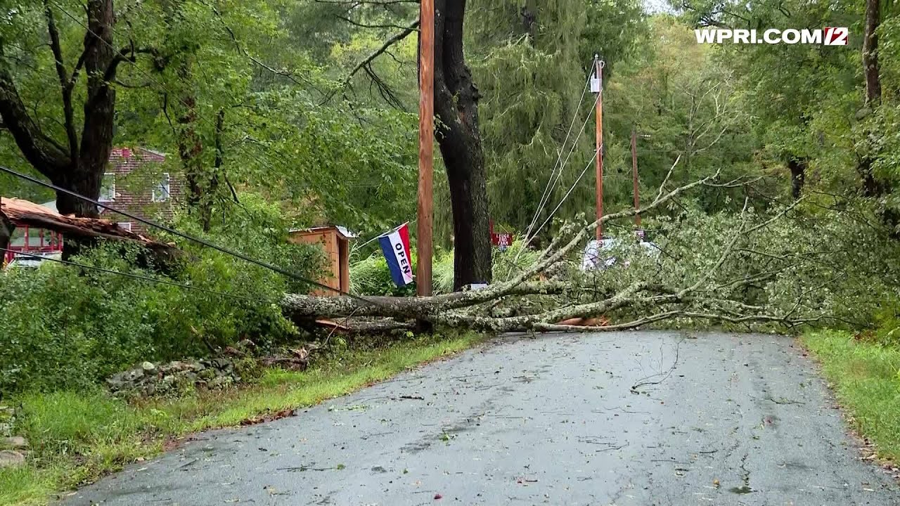 VIDEO NOW: Downed trees in Foster following heavy storm - YouTube