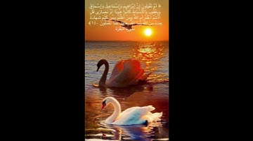 #خلفيات #دينية #سورة #البقرة #آية #140