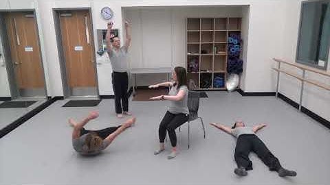 Bartenieff Fundamentals Body Organizations SMED 2022