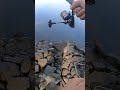 Angler am Spotgeiern #angeln #shorts #Zander