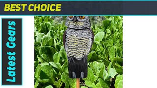 Owl Decoy to Scare Birds and Squirrels Away - Effective Garden Protection
