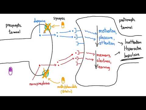 Stimulants (Ritalin and Adderall) Explained in 3 Minutes