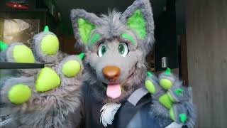 Eurofurence is...