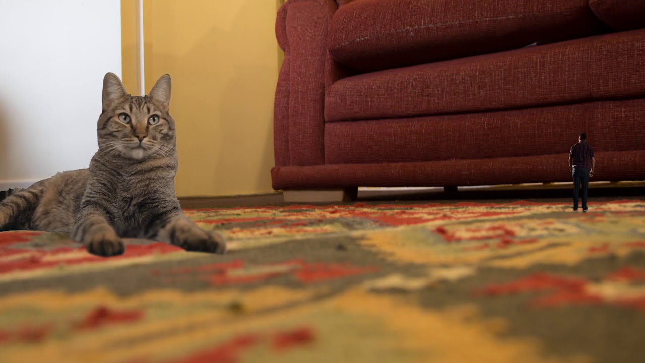 Green screen Shrinking man