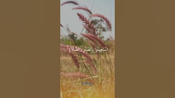 فَاذْكُرُونِي أَذْكُرْكُمْ وَاشْكُرُوا لِي || سورة البقرة || علي جابر