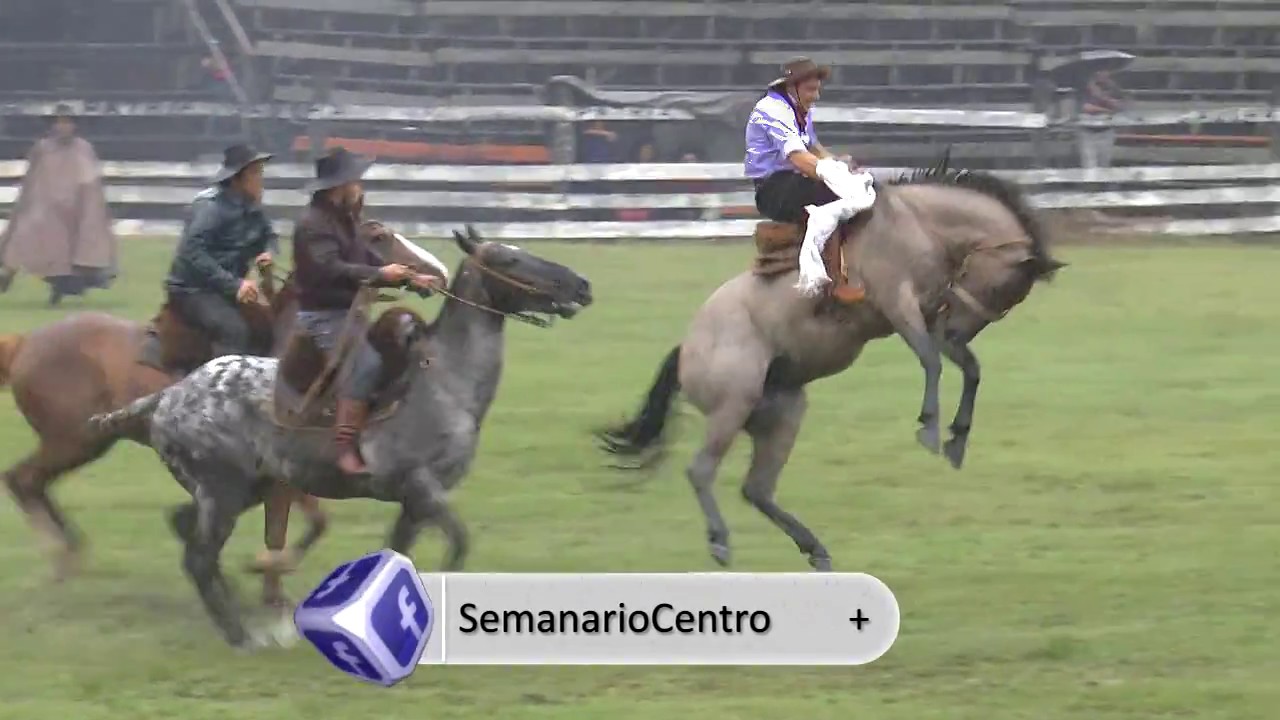 Patria Gaucha 2017 Entre música y jineteadas camera iphone 8 plus apk