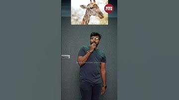 Wrong Answers only - Part 4 😱🤔| #shorts | Wait For It