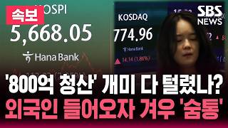 '800억 청산' 개미 다 털렸나?..외국인 들어오자 '숨통' / 외국인 매수에 코스피 2%대 상승 / SBS 뉴스속보