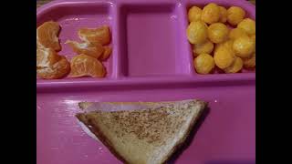 Daycare DITL: All Orange Lunch, 05-08-24 by Apple Tree Homeschool Academy 25 views 3 weeks ago 17 seconds