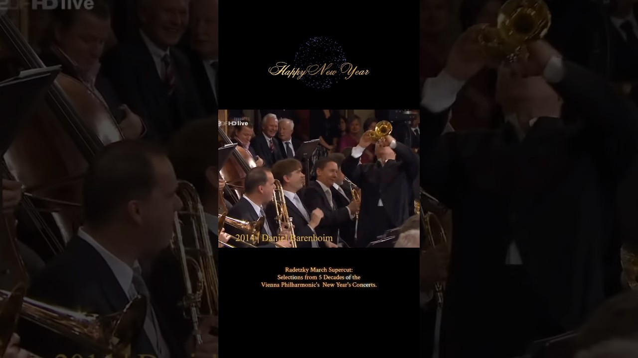 Happy New Year! 🎊🎶✨ from Vienna!