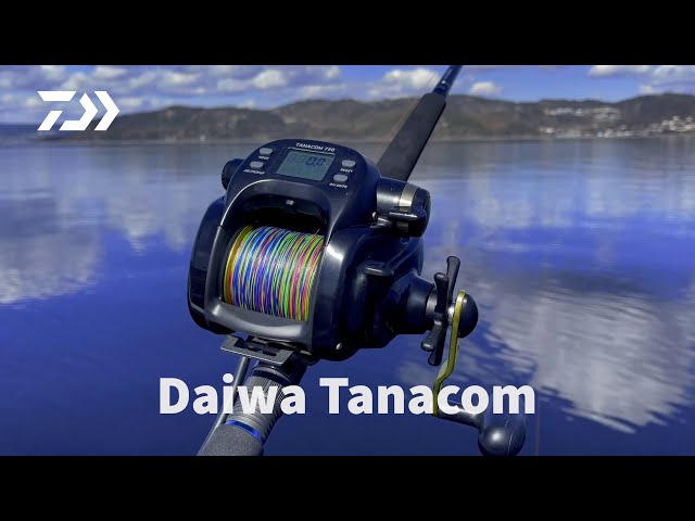 Daiwa Tanacom - Basic Settings 