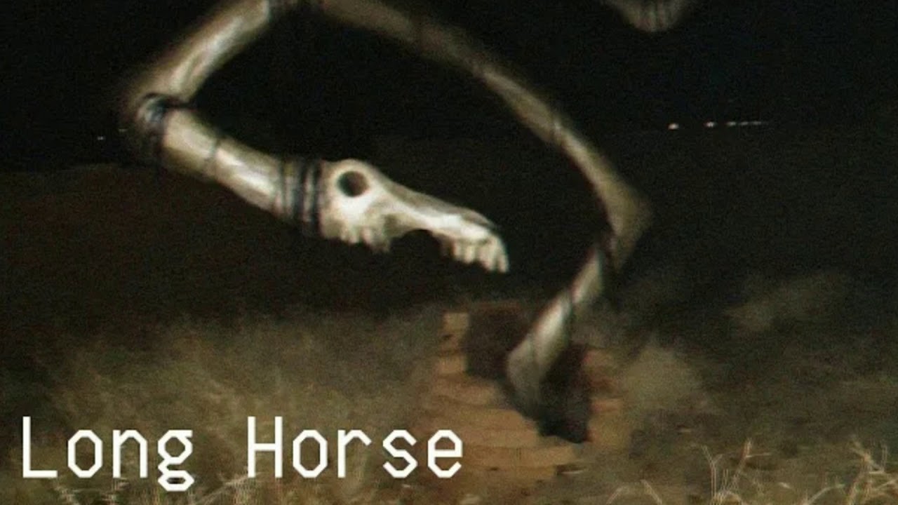 16+ Show me a pic of long horse information