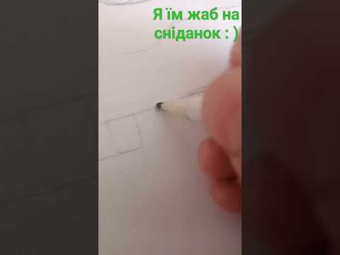 Жабка, малюнок; майстер-клас по жабці! - YouTube