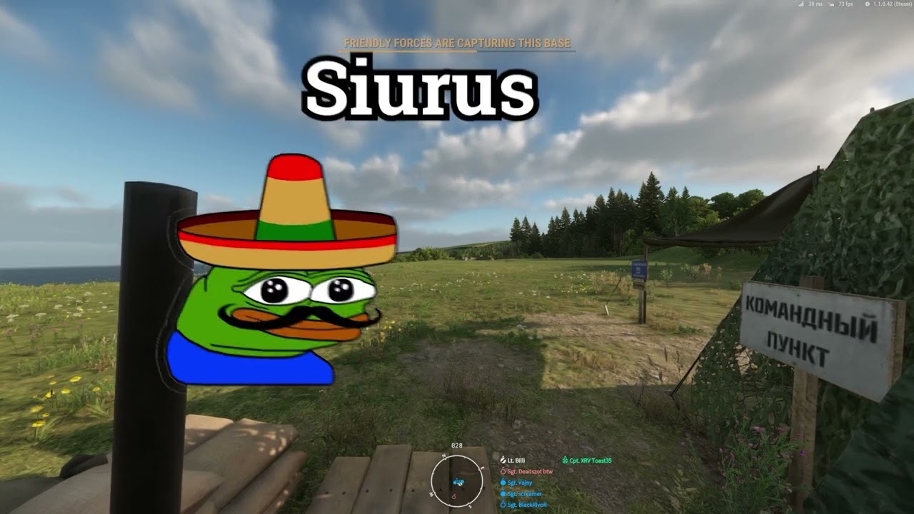 OSA PL KOMPILACJA FUNNY MOMENTS
